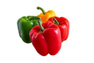 Bell Pepper