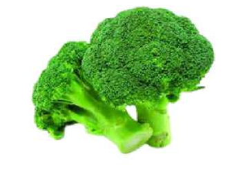 Broccoli