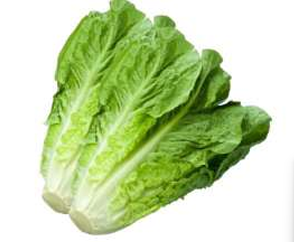 Lettuce
