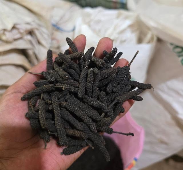 Long Pepper