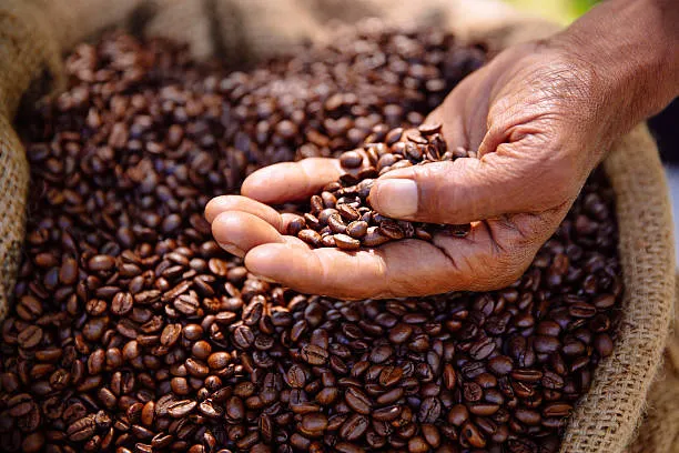 Roasted Coffee Beans